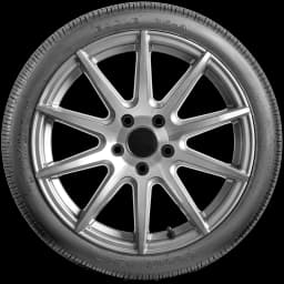 Goodyear Eagle RS-A 20" side tire
