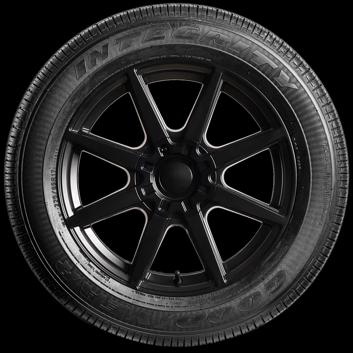 Goodyear Integrity 17" side tire