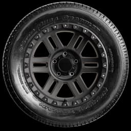 Nitto Dura Grappler 17" side tire