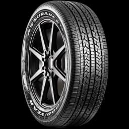 Goodyear Assurance Fuel Max 20" angled tire