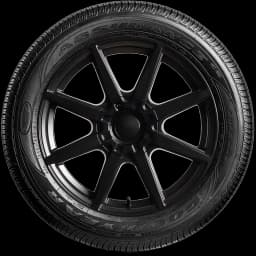 Goodyear Assurance Fuel Max 20" side tire