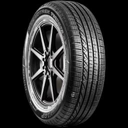 Dunlop Grandtrek Touring AS 17" angled tire