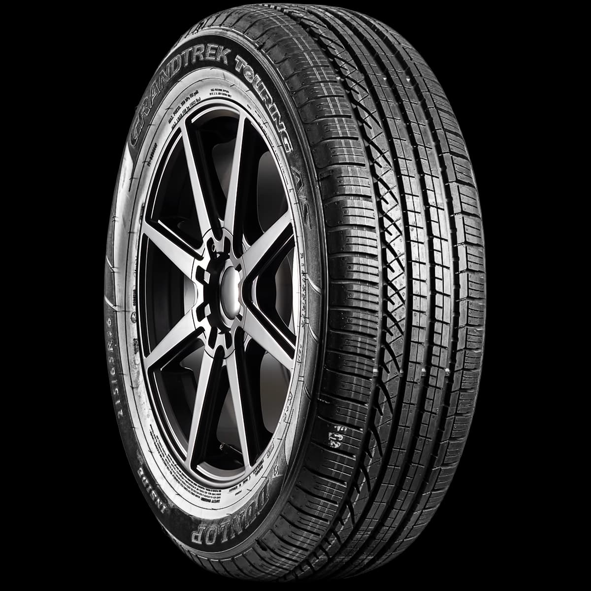 Dunlop Grandtrek Touring AS 17" angled tire