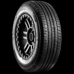 Michelin LTX M/S 2 17" angled tire