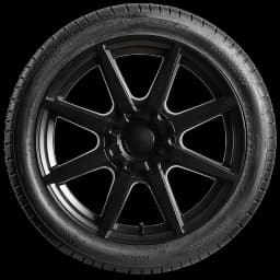 Nika Climate Plus 20" side tire
