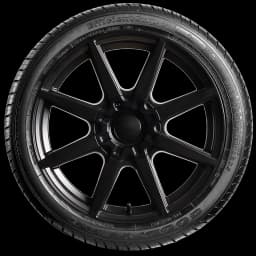 Goodyear Efficient Grip 20" side tire
