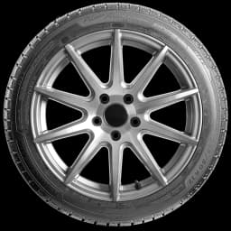 Michelin Pilot Alpin PA2 17" side tire