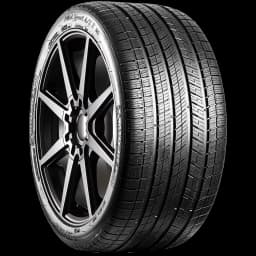 Michelin Pilot Sport A/S 3 20" angled tire