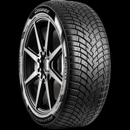 Pirelli Cinturato Weatheractive 17" angled tire