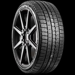 Dunlop Winter Maxx 20" angled tire