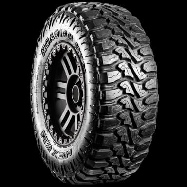 Nexen Roadian MT tire