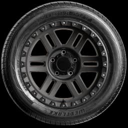 Westlake SU318 20" side tire