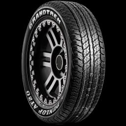 Dunlop Grandtrek AT20 17" angled tire
