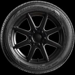 Dunlop Enasave 01 AS 17" side tire