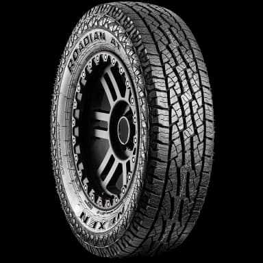 Nexen Roadian AT Pro RA8 tire