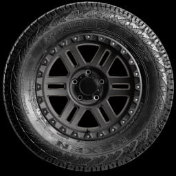 Nexen Roadian AT Pro RA8 17" side tire