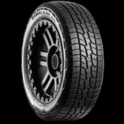 Westlake SL369 20" angled tire
