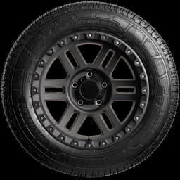 Michelin Agilis CrossClimate 2 20" side tire