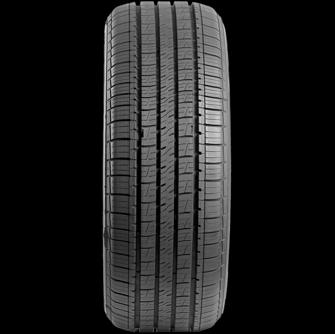 Goodyear Assurance MaxLife 2 20" front tire
