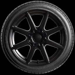 Dunlop Signature HP 17" side tire