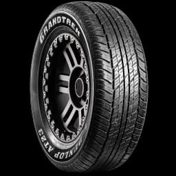 Dunlop Grandtrek AT23 17" angled tire