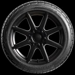BFGoodrich g-Force COMP-2 A/S 17" side tire