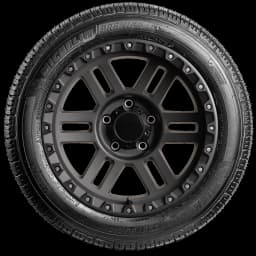 Michelin Premier LTX 17" side tire