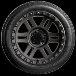 Michelin Defender LTX M/S 20" side tire