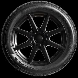 Douglas Performace 17" side tire