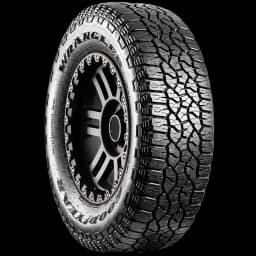 Goodyear Wrangler TrailRunner AT 17" angled tire