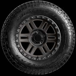 Goodyear Wrangler TrailRunner AT 17" side tire