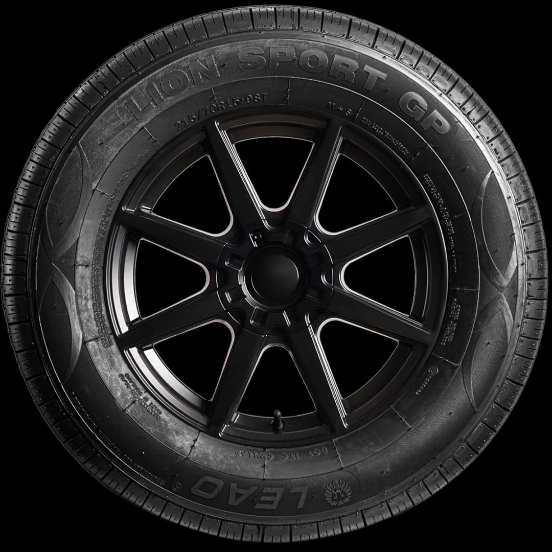 Leao Lionsport 3 17" side tire