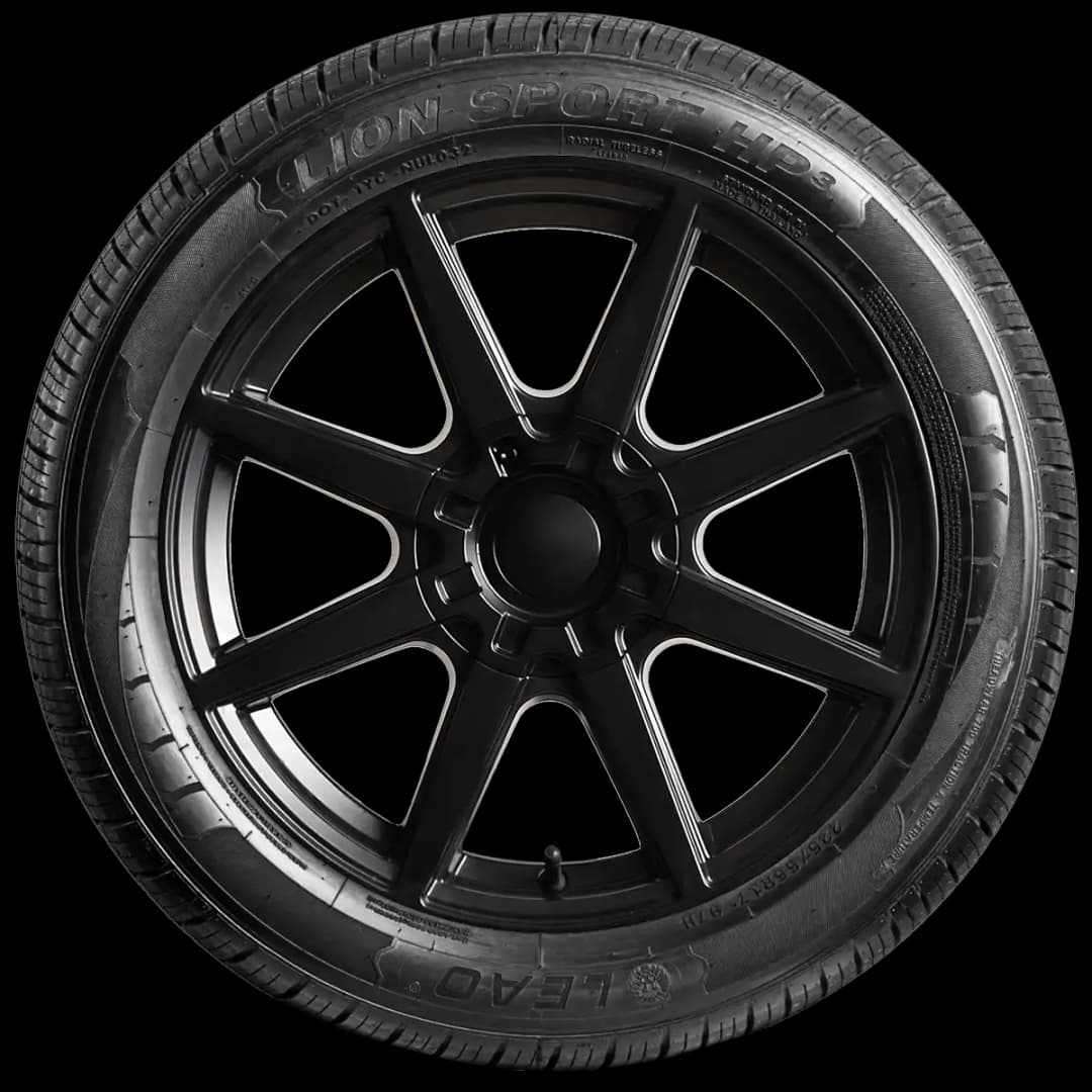 Leao Lionsport HP3 17" side tire