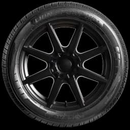 Leao Lionsport HP3 17" side tire
