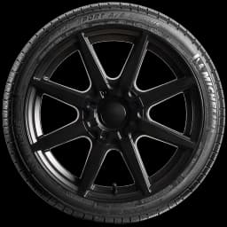 Michelin Pilot Sport A/S + 20" side tire