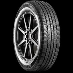 SuperMax Touring TM-1 17" angled tire