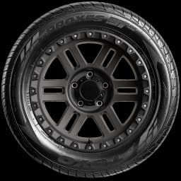 Toyo Proxes ST III 17" side tire