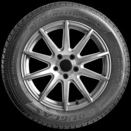 Douglas All Season 17" side tire