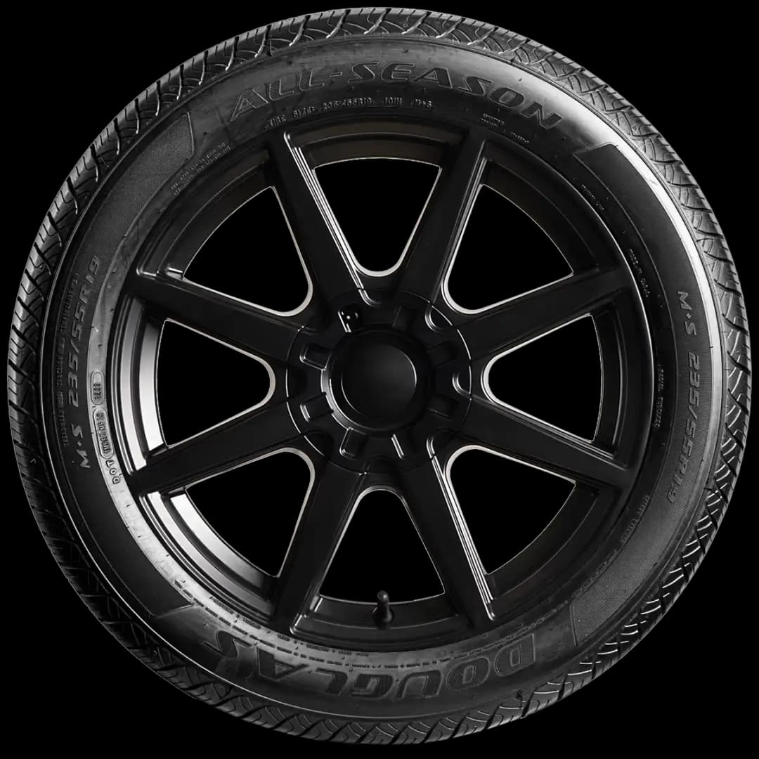 Douglas All Season 20" side tire