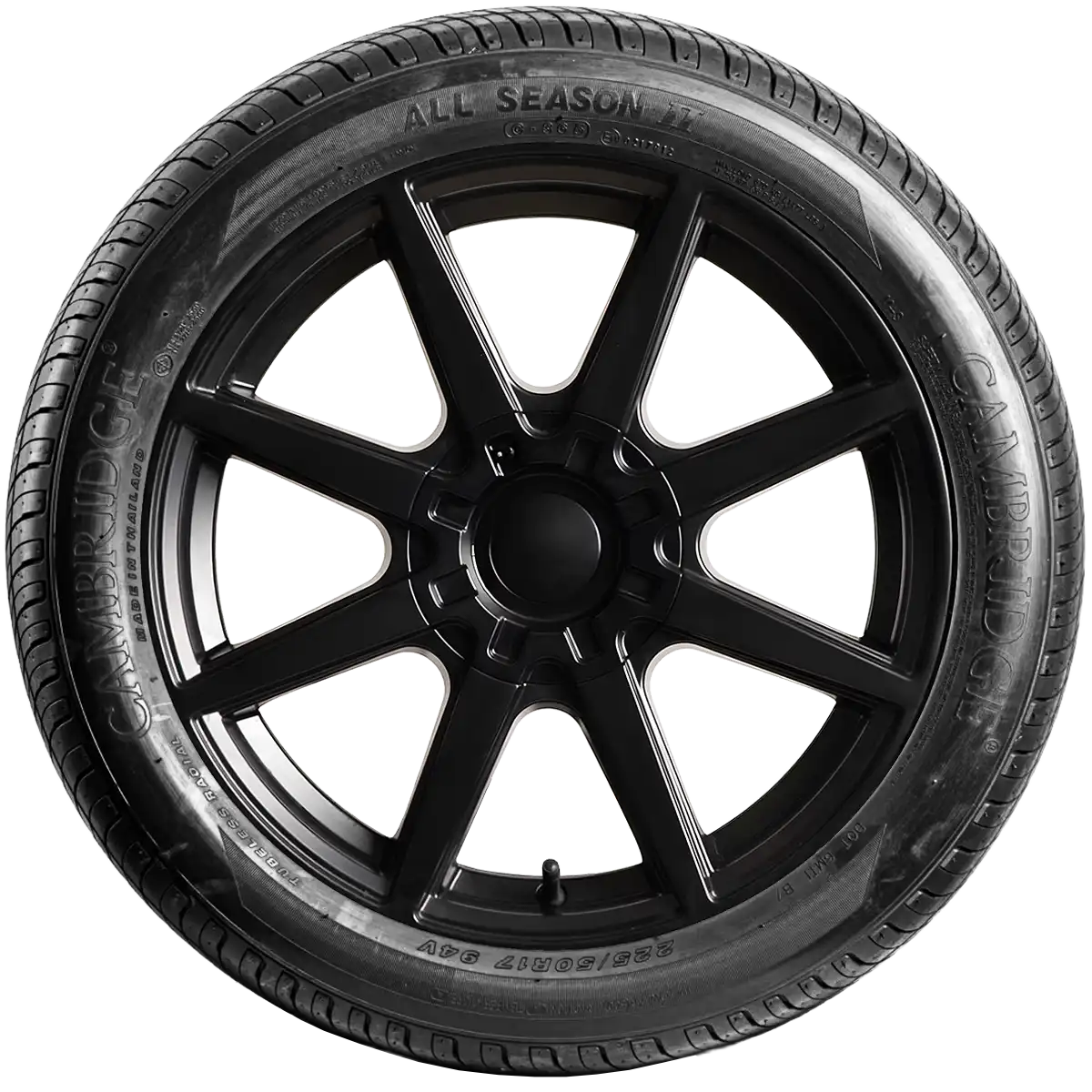 Cambridge All Season 2 17" side tire