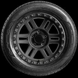 Arroyo Grand Sport AS 17" side tire