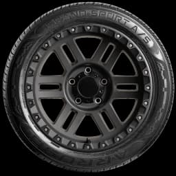 Arroyo Grand Sport AS 20" side tire
