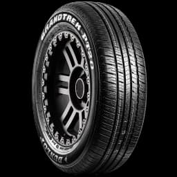 Dunlop Grandtrek PT20 17" angled tire