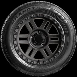 Dunlop Grandtrek PT20 17" side tire