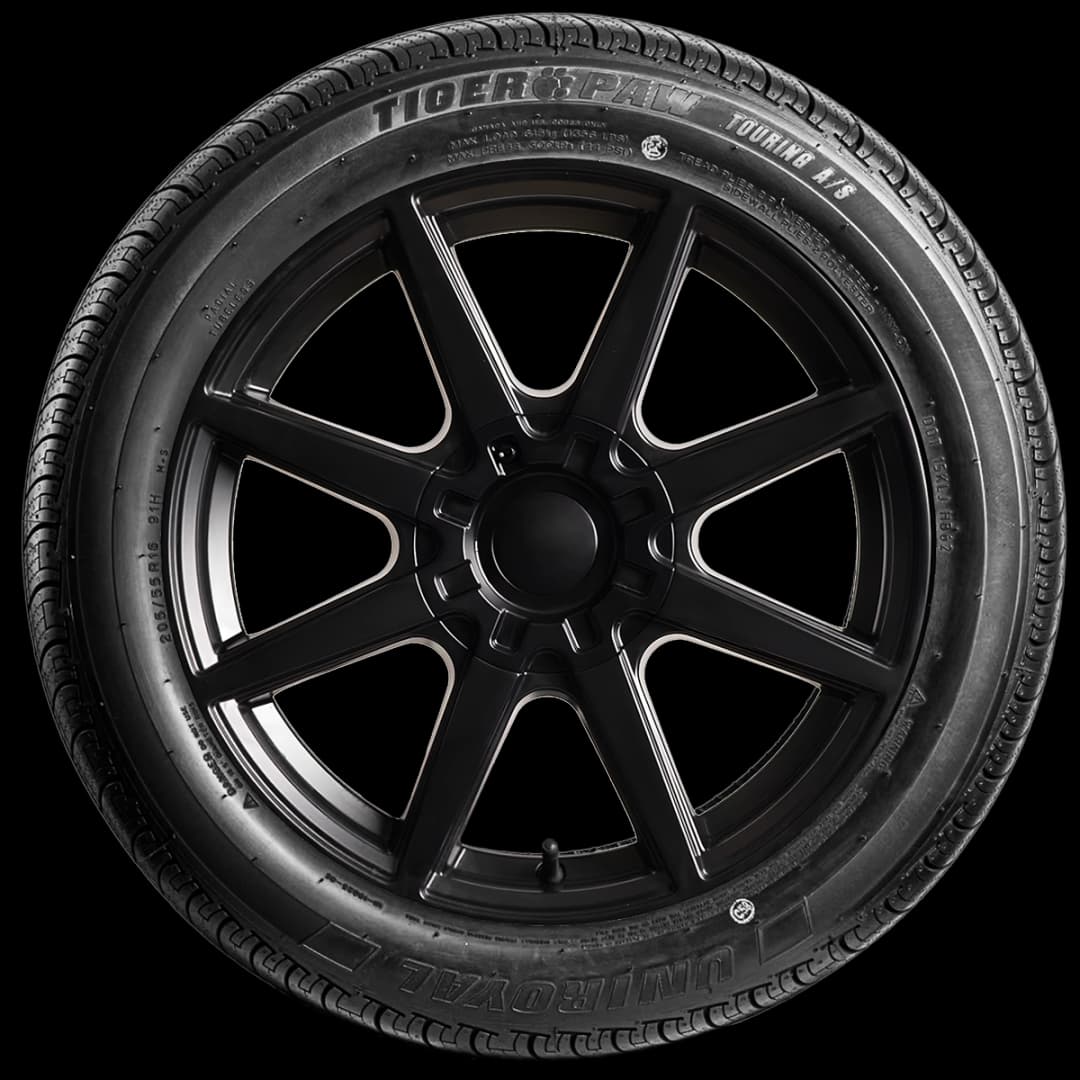 Uniroyal TigerPaw Touring A/S 17" side tire