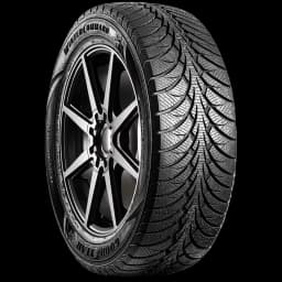 Goodyear WinterCommand 20" angled tire