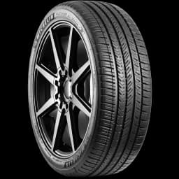 Michelin Pilot Sport A/S 4 20" angled tire