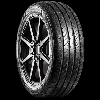 Arroyo Grand Sport 2 tire