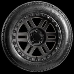 Nika All Season 17" side tire