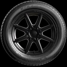 Sumitomo HTR A/S P03 17" side tire